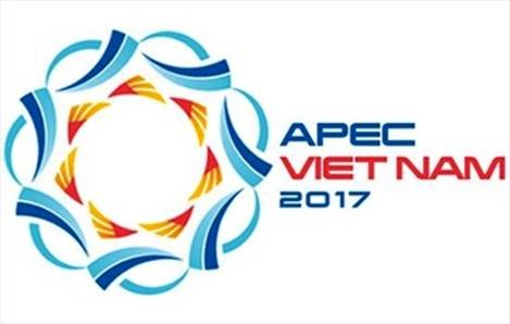 Dự án mở rộng sân bay Đà Nẵng phục vụ APEC 2017
